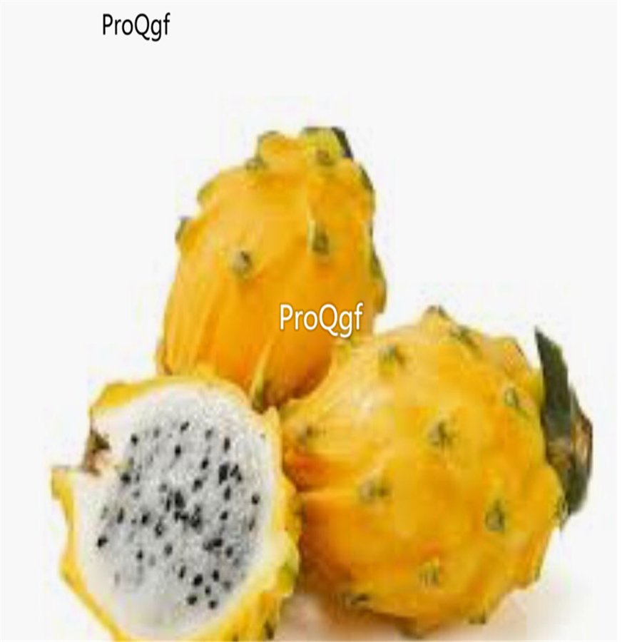 Prodgf 2000Pcs gold dragon fruit seed