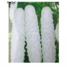Prodgf 3000Pcs White Cucumber seed
