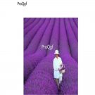 Prodgf 9000Pcs Lavender Flower seed