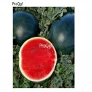 Prodgf 3000Pcs black skin red heart Watermelon seed