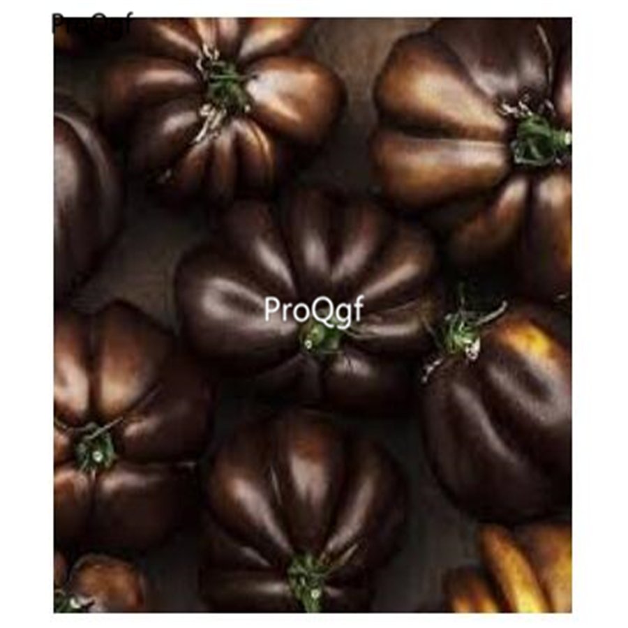 Prodgf  9000Pcs Chocolate Tomato vegetable seed