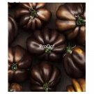Prodgf  9000Pcs Chocolate Tomato vegetable seed