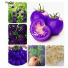 Prodgf 9000Pcs Purple Tomato seed