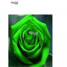 Prodgf 6000Pcs A Set Green Roses flower seed
