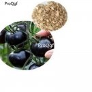 prodgf 6000pcs black pearl tomato seed