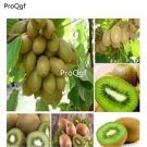 Prodgf 6000Pcs green heart kiwi fruit seed