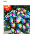 6000pcs rainbow daisy tianrenju flower seed