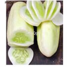 prodgf 6000pcs White Cucumber  seed