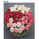 prodgf 10000pcs Candy Plate Flower seed