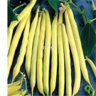 prodgf 3000pcs Yellow Beans seed