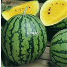 prodgf 3000pcs Yellow Watermelon  seed