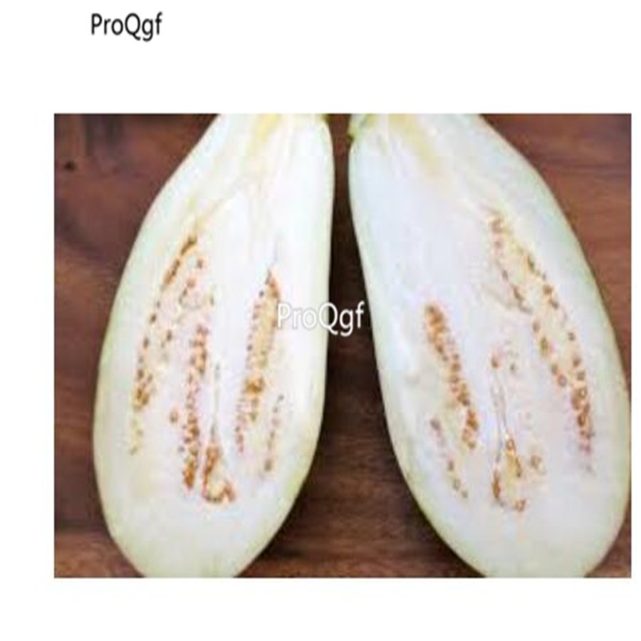 prodgf 6000pcs  White Eggplant vegetable seed