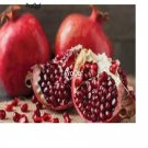 Prodgf 3000Pcs Red Pomegranate seed