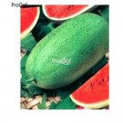 prodgf 3000pcs Rare Charleston Gray Watermelon seed