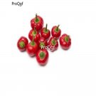 prodgf 8000pcs Burkita Pepper  seed