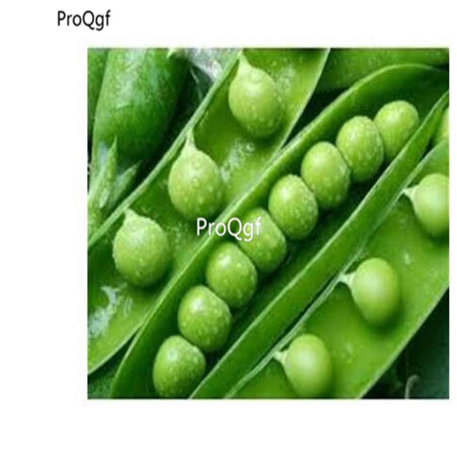 prodgf 6000pcs Araka Peas seed