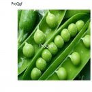 prodgf 6000pcs Araka Peas seed