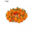 prodgf 6000pcs pearl shape Orange Tomato seed