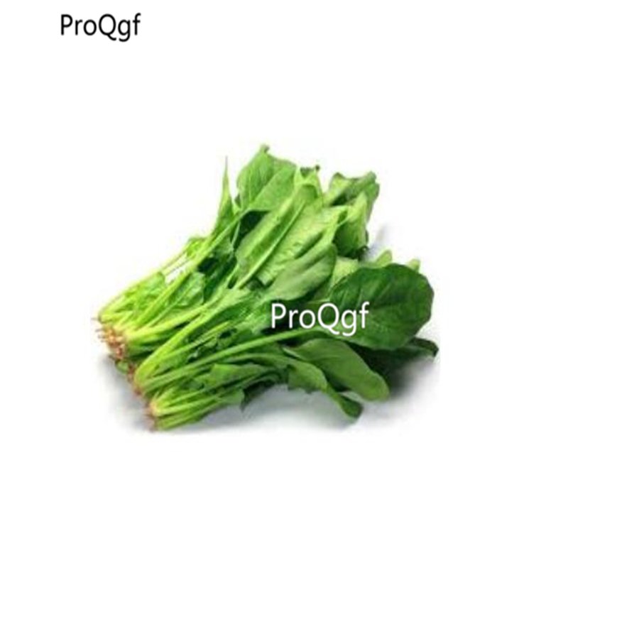 prodgf 8000pcs Spinach vegetable seed
