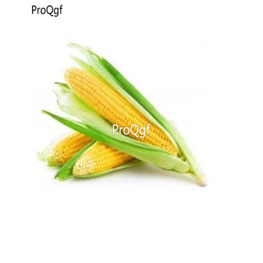 prodgf 1000pcs yellow corn vegetable seed