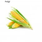 prodgf 1000pcs yellow corn vegetable seed