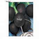 prodgf 6000pcs Black Radish  vegetable seed