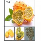 prodgf 3000pcs Tropical Kiwano  seed