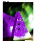 Prodgf 1000Pcs Purple Watermelon  seed