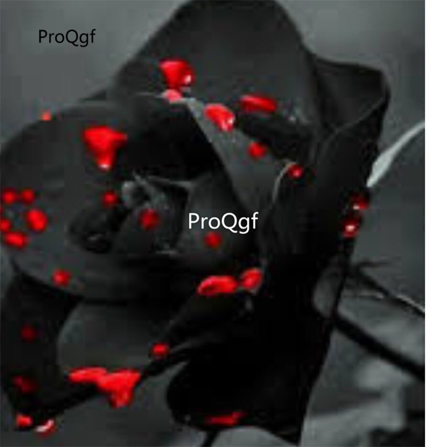 Prodgf 6000Pcs A Set black red spotted rose flower seed