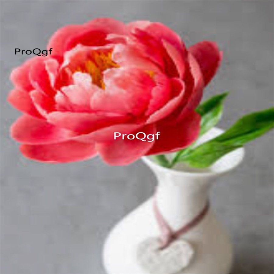 Prodgf 2000Pcs A Set coral charm red Paeonia peony flower seed