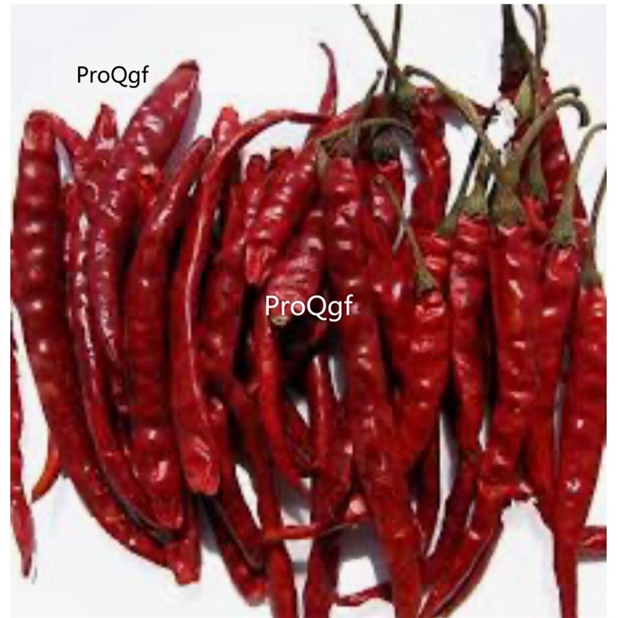 Prodgf 9000Pcs A Set teja indian pepper vegetable seed