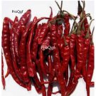 Prodgf 9000Pcs A Set teja indian pepper vegetable seed