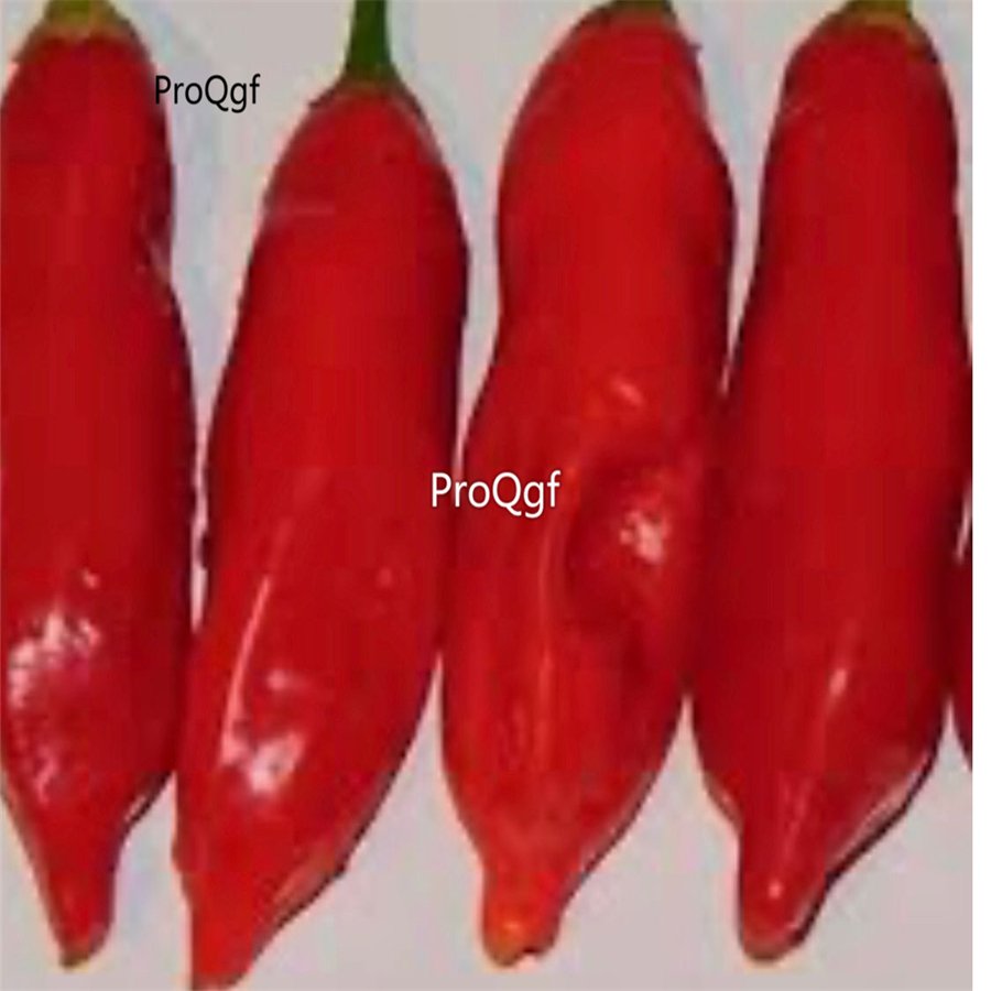 Prodgf 9000Pcs A Set aji magyar pepper vegetable seed
