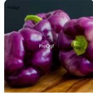 Prodgf 9000Pcs A Set purple bell pepper vegetable seed