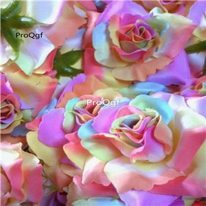 Prodgf 3000Pcs A Set ombre rainbow Rose Flower Seed
