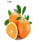 Prodgf 1000pcs A Set Paramignya confertifolia Oil seed