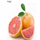Prodgf 50Pcs A Set Citrus paradisi  seed
