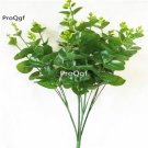 Prodgf 1000Pcs A Set Eucalyptus robusta seed