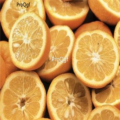 Prodgf 500pcs A Set Citrus aurantium seed