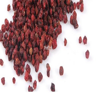 Prodgf 2000pcs A Set  Schisandra chinensis seed