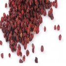 Prodgf 2000pcs A Set  Schisandra chinensis seed