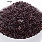 Prodgf 5000pcs a set red glutinous rice seed