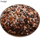 Prodgf 3000pcs a set three color rice seed