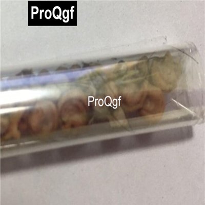 Prodgf 100Pcs Rare Astrophytum Cactus Seed