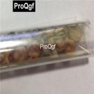 Prodgf 100Pcs Rare Astrophytum Cactus Seed