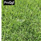 Prodgf 80000Pcs A Set Zoysia japonica Seed
