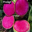Prodgf 6000Pcs A Set Purple Radish Seed