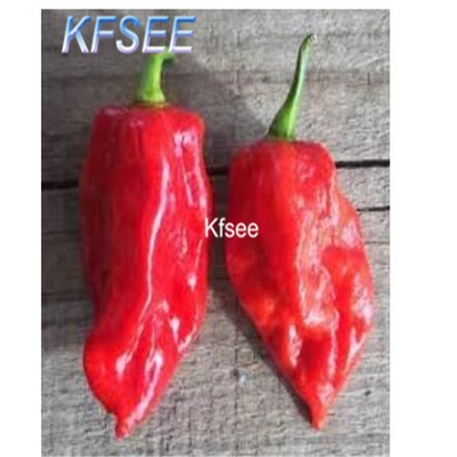 Kfsee 2000Pcs A Set Red Savina Habanero Peppers seed