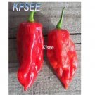 Kfsee 2000Pcs A Set Red Savina Habanero Peppers seed