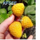Kfsee 6000Pcs A Set yellow strawberry fruit seed